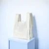 Eco-Friendly PLA Shopping Bags - Custom Size Biodegradable Retail Bags with Logo Hot Stamping for Chain Stores & Exhibitions