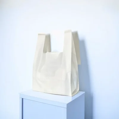 Eco-Friendly PLA Shopping Bags - Custom Size Biodegradable Retail Bags with Logo Hot Stamping for Chain Stores & Exhibitions