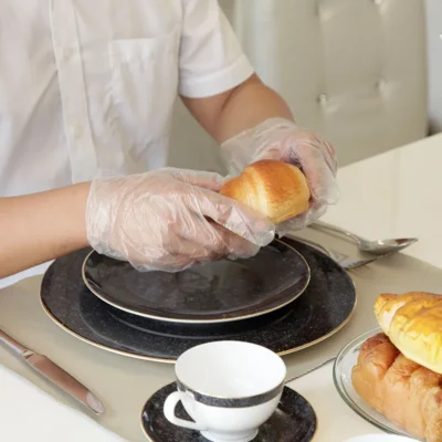 Factory Price Disposable PE Gloves - Individually Packed Food-Grade Plastic Gloves for High-Volume Wholesale