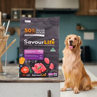 Food-Grade Box Bottom Zipper Pouches - Eco-Friendly PE Plastic Food Bags with Gravure Printing & Convenient Zipper Sealing