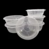 Premium Single-Tier Disposable Food Container with Metallic-Finish Lid - High-Clarity Microwavable Take-out Box